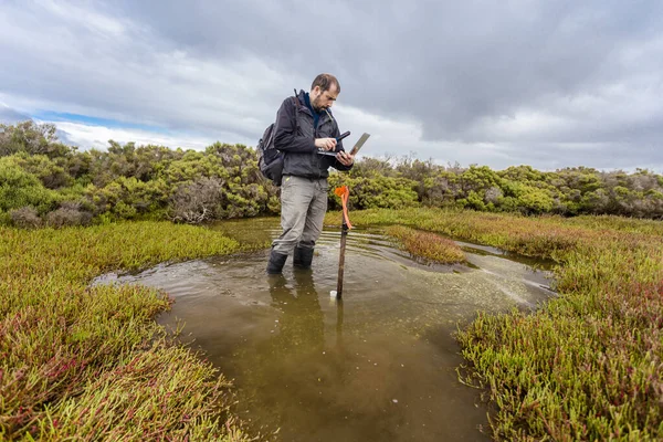 Scientist downloading water level logger data in a coastal wetland to understand inundation period and impact on ecosystem services.