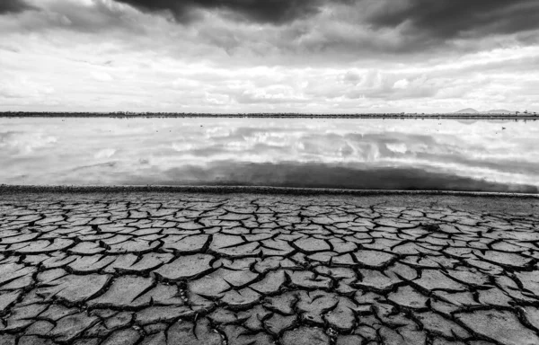 Terra Rachada Uma Lagoa Sal Antes Restauração Sítio Como Saltmarsh Fotografia De Stock