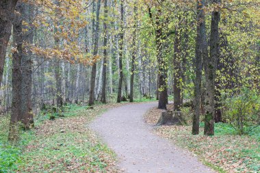 path in the autumn park landscape clipart