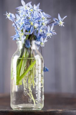 Natürmort buket mavi şeffaf şişe