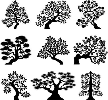  Dekoratif bonsai ağaçlar