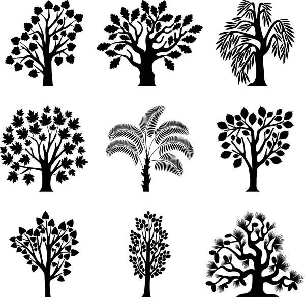 Árbol de café decorativo — Vector de stock