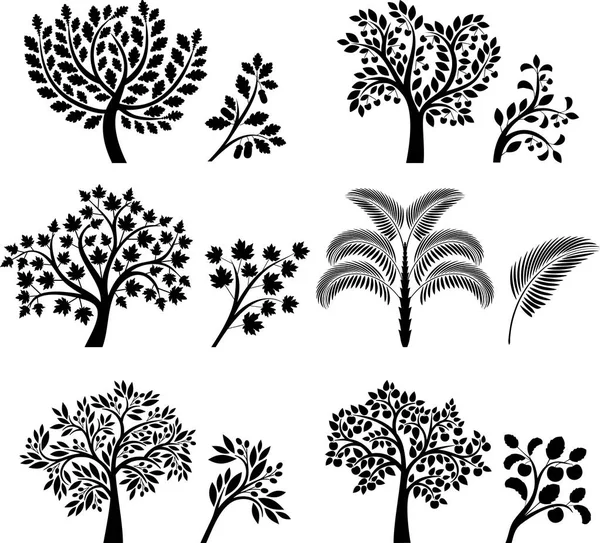 Arbres et branches — Image vectorielle