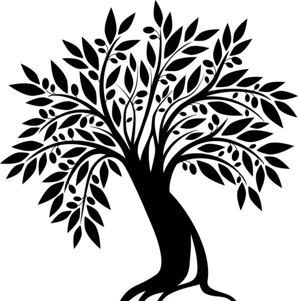 Старий оливкове дерево — стоковий вектор