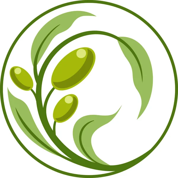 Оливкова гілка емблема — стоковий вектор