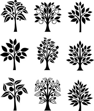 Meyve ağacı koleksiyonu