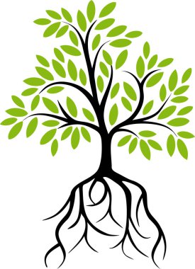 kökleri olan yeşil ağaç