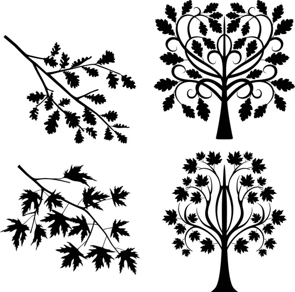 Chêne et érable — Image vectorielle