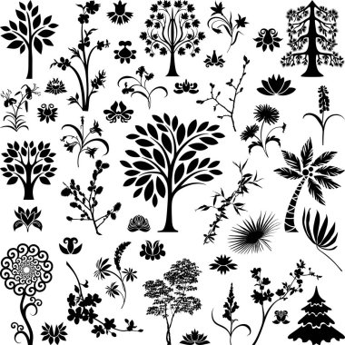 Ağaçlar ve bitkiler V