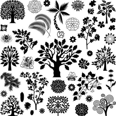 Ağaçlar ve bitkiler IV