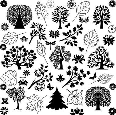  Ağaçlar ve bitkiler III