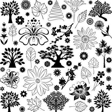 Ağaçlar ve bitkiler VI