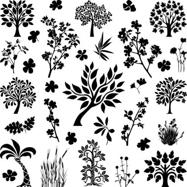 Ağaçlar ve Bitkiler