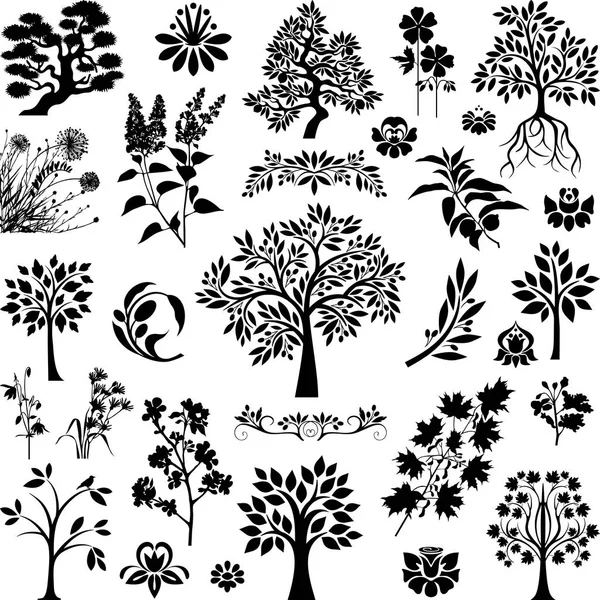 Trees and plants II — Stock Vector