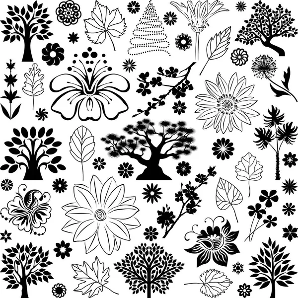 Ağaçlar ve bitkiler VI