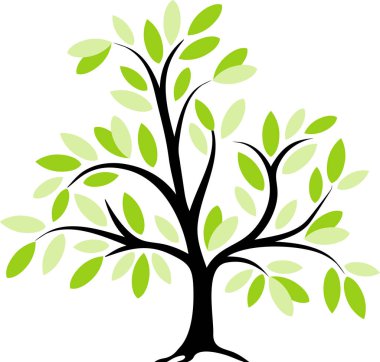 Yeşil yaprakları II ile ağaç