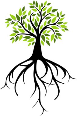 Ağaç büyük kökleri ile