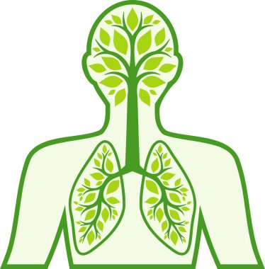 insan solunum sistemi