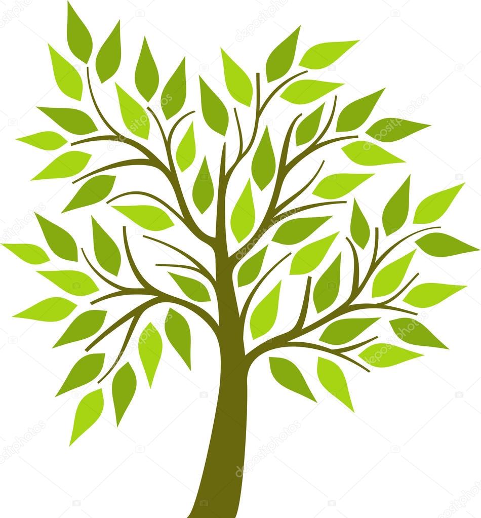 Tree with green leaves