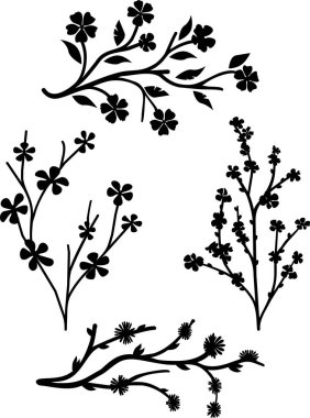 Çiçek dalları silhouetes