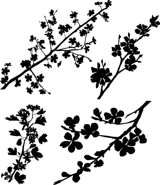 Conjunto de ramas florecidas — Vector de stock