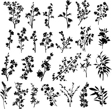 Dalları siluetleri seti