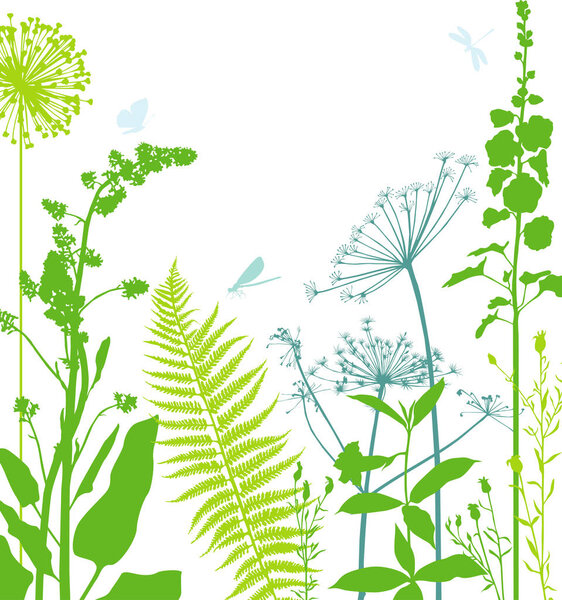 Декоративная композиция лугов
