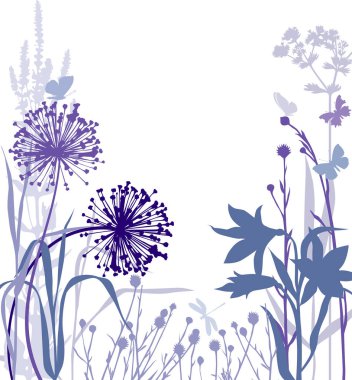 Dandelions ve lily