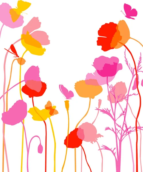Εικονογράφηση παπαρούνας λουλούδια — Διανυσματικό Αρχείο