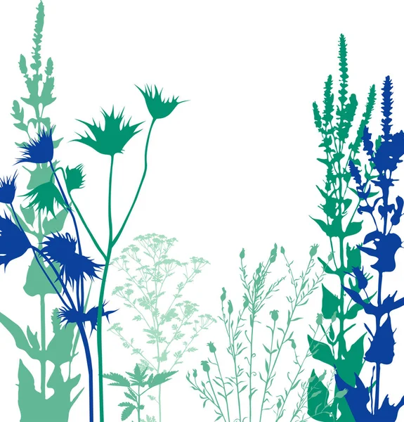 Illustration Wildblumen — Stockvektor