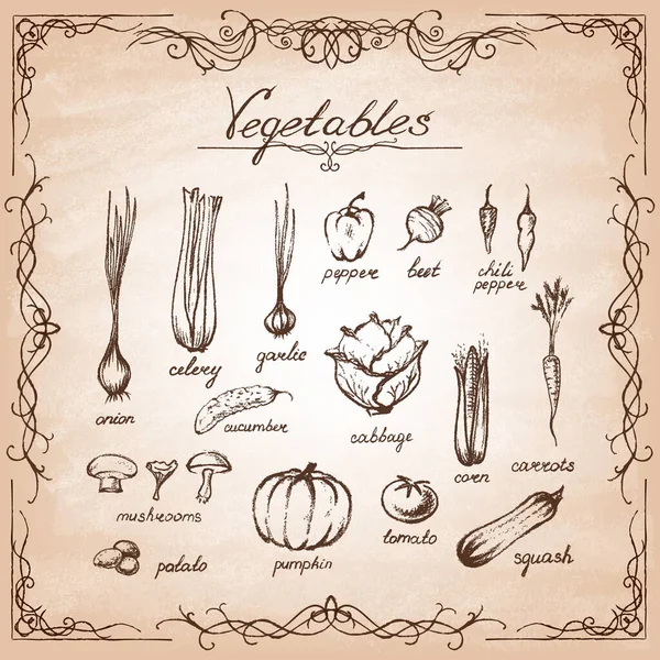 Conjunto de legumes desenhados à mão em papel velho . — Vetor de Stock