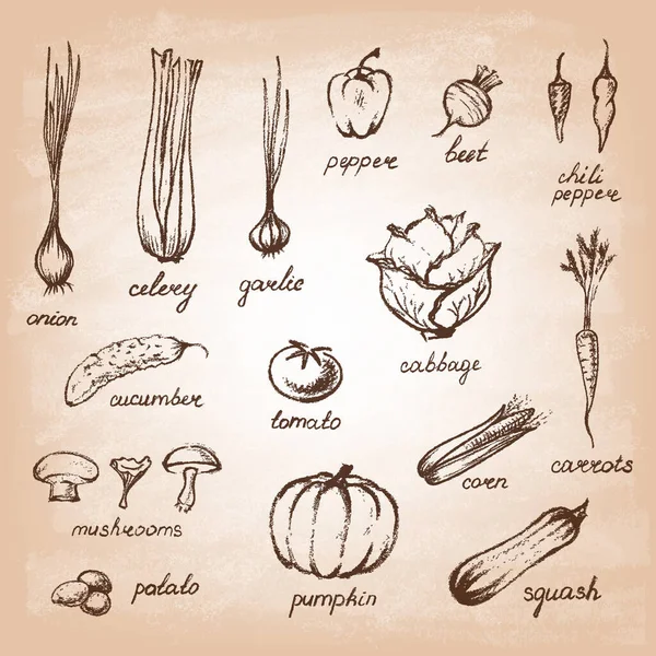 Ensemble de légumes dessinés à la main sur papier. Vecteur — Image vectorielle