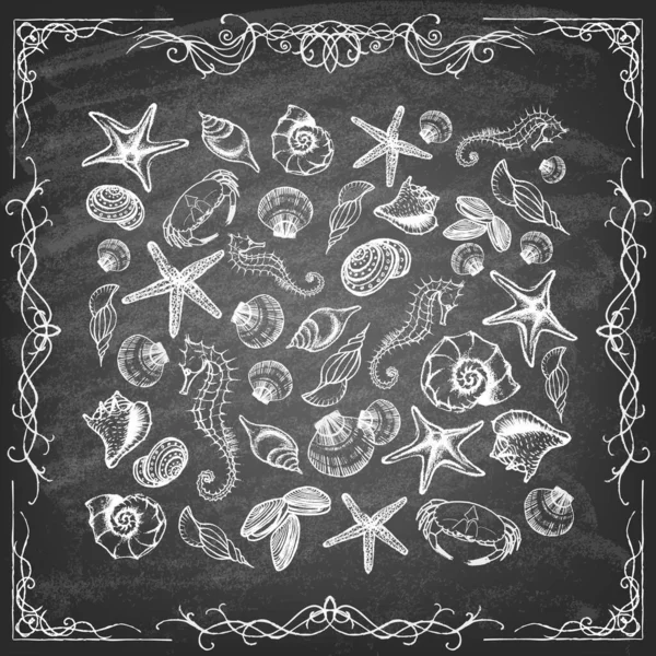 Set di vita marina disegnata a mano sulla lavagna . — Vettoriale Stock