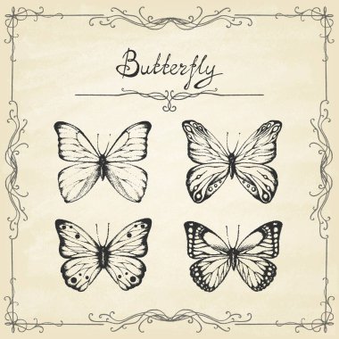 Eski kağıda çizilmiş el yapımı kelebekler..