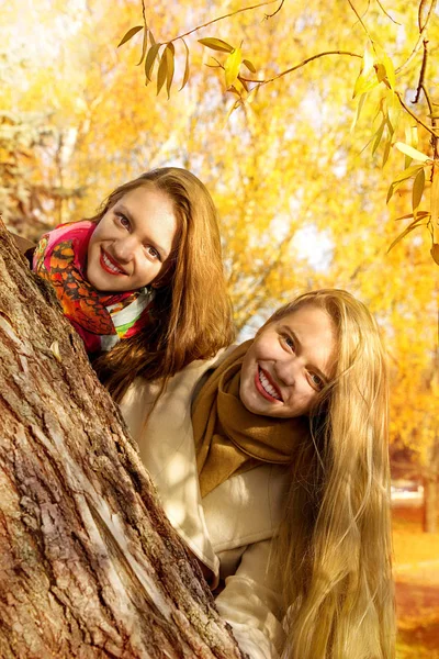 Two girls are walking in the autumn park Stock Image