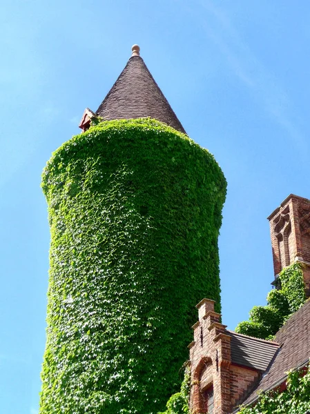 Ancient tower all ivy — Stock Photo, Image