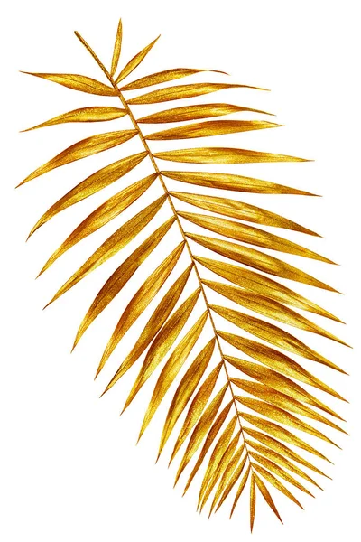 棕榈金色的树枝闪闪发亮 — 图库照片
