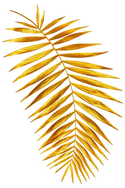 Palm arany fényes ága — Stock Fotó