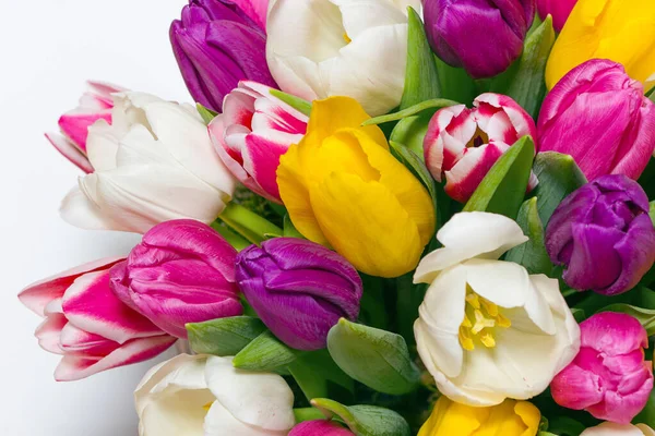 bouquet of fresh multicolor tulips over white background. spring flowers