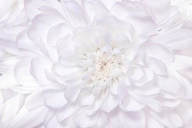 beyaz yıldız arkaplanı, metin için yer