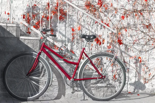 Vélo rouge se dresse contre un mur torsadé avec vignoble rouge — Photo