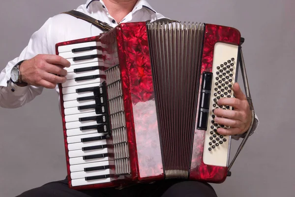 Closeup Detail Man White Shirt Playing Red Accordion Hands Close — Stock Photo, Image