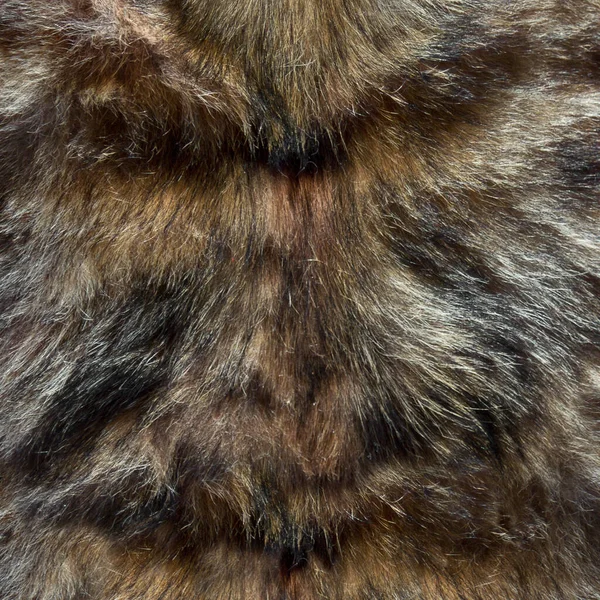 Gray Dark Brown Natural Wolf Fox Fur Wildlife — Stock Photo, Image