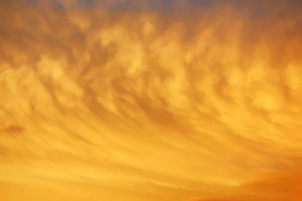 Background of sunset  . — Stock Photo, Image
