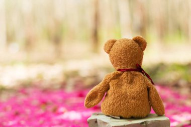 güzel oyuncak kahverengi ve beyaz 