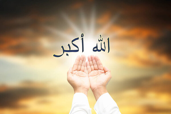 Руки человека молятся
 