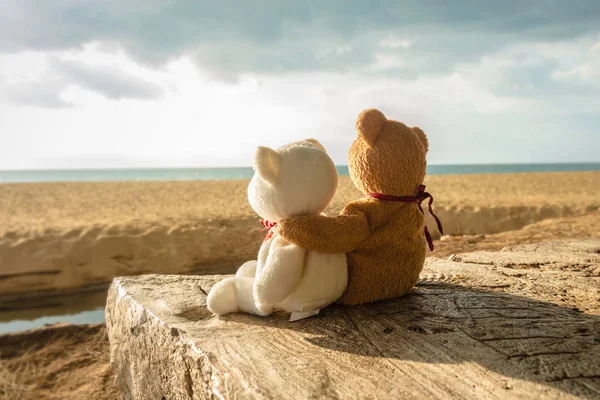 Orsacchiotto Marrone Bianco Seduto Mare Attesa Qualcosa — Foto Stock