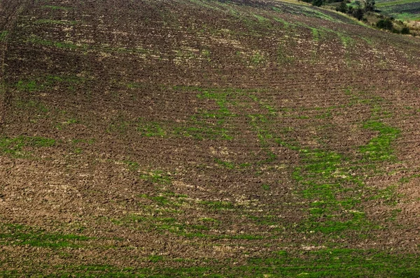 Een geploegd veld in de herfst — Stockfoto