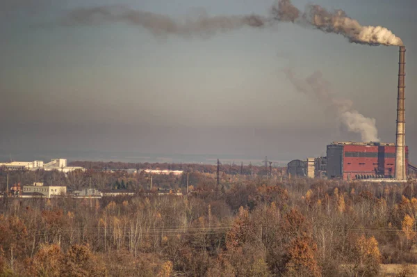 Factories in an industrial area among the forest — Stock Photo, Image