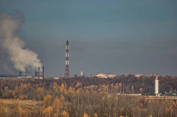 Заводи в індустріальній зоні серед лісу — стокове фото